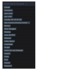 Illustration for article titled The First Day of Steam Tags Is Both Funny and Sad